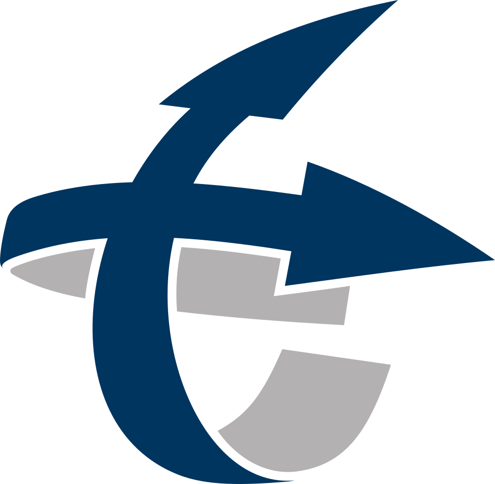 Logo Lehrstuhl für Verkehrstechnik